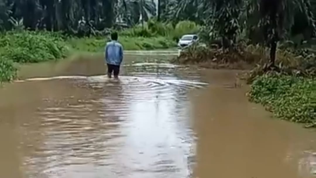 Petani Sawit di Seluma Terpaksa Tunda Panen, Ini Penyebabnya