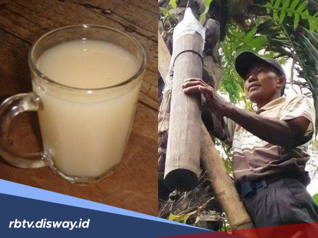 8 Efek Minum Tuak terhadap Kesehatan, Nomor Dua Banyak yang Belum Tahu!