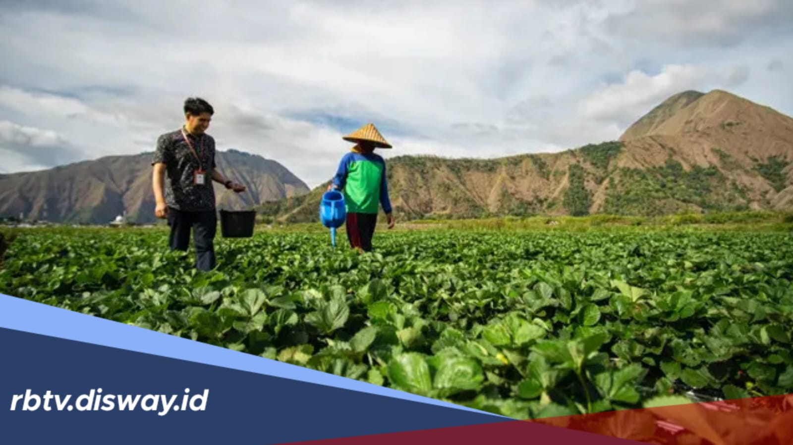 Ini Sederet Keunggulan KUR BRI, Cek Syarat Pengajuannya