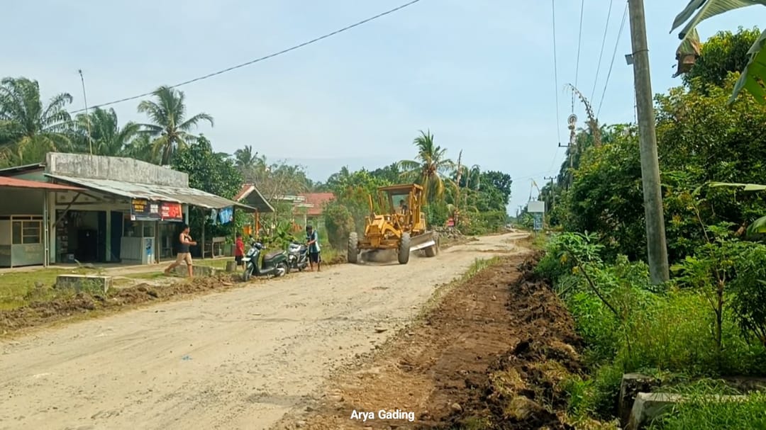 Belum Disentuh, Warga Bangun Jalan Link Kabupaten di Desa Kungkai Baru-Tawang Rejo Seluma Secara Swadaya