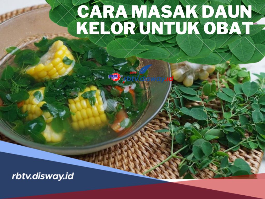 5 Cara Masak Daun Kelor untuk Obat, Berkhasiat untuk Kesehatan dan Kecantikan