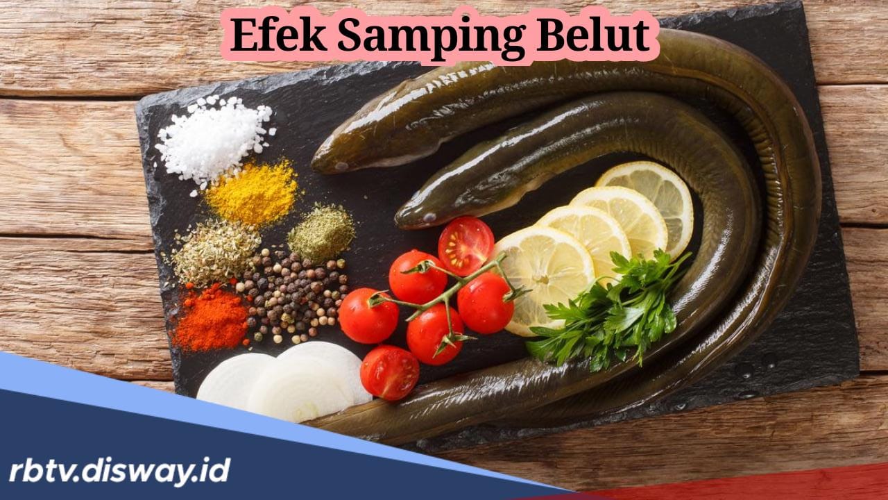 Punya Banyak Manfaat Bagi Kesehatan, tapi Makan Belut Punya Efek Samping yang Harus Diwaspadai