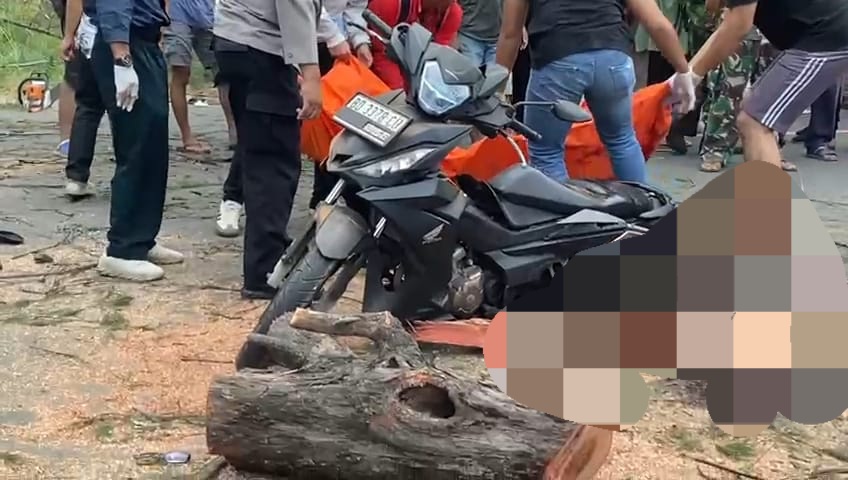 Angin Kencang, 3 Pengendara Motor Tertimpa Pohon, 1 Meninggal Dunia, Ini Identitasnya