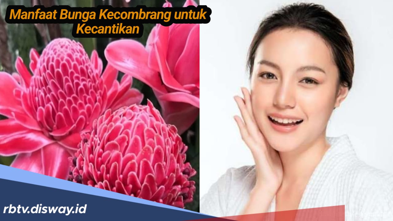 Manfaat Unji atau Kecombrang untuk Kecantikan, Selain untuk Kesehatan 