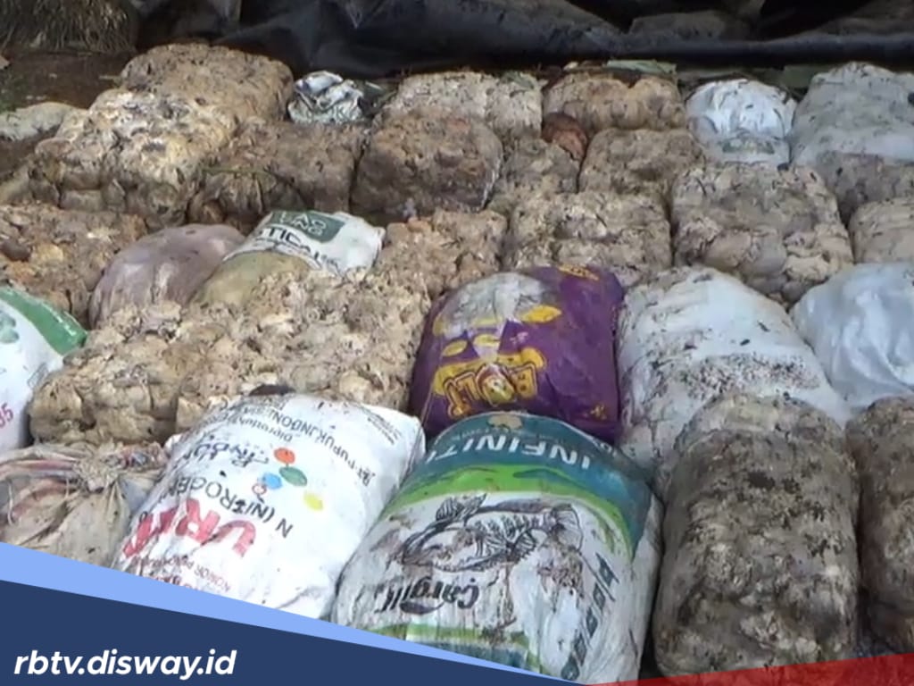 Harga Getah Karet Tak Kunjung Naik, Petani di Bengkulu Utara Lesu