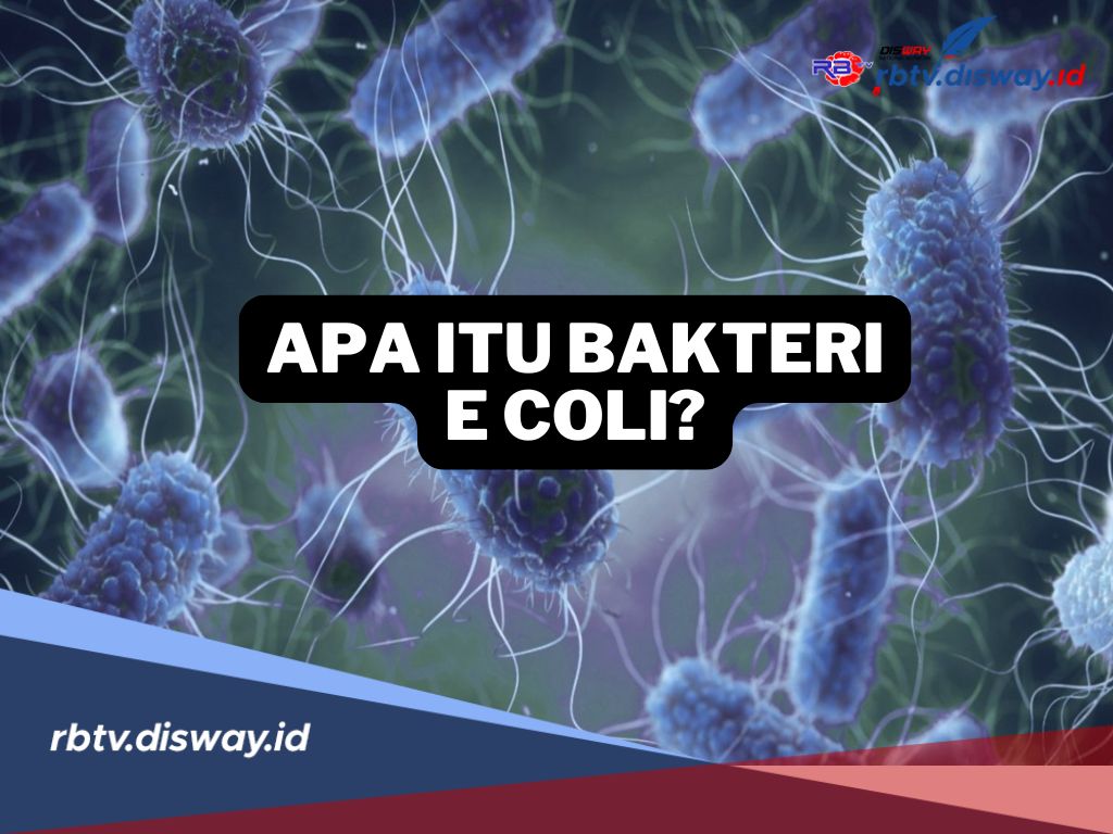 Apa Itu Bakteri E.Coli? Kenali Gejala dan Cara Pencegahannya