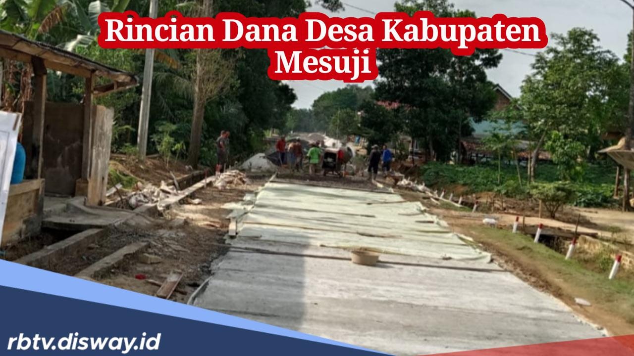 Masyarakat Desa Sejahtera, Simak Rincian Dana Desa Kabupaten Mesuji 2024