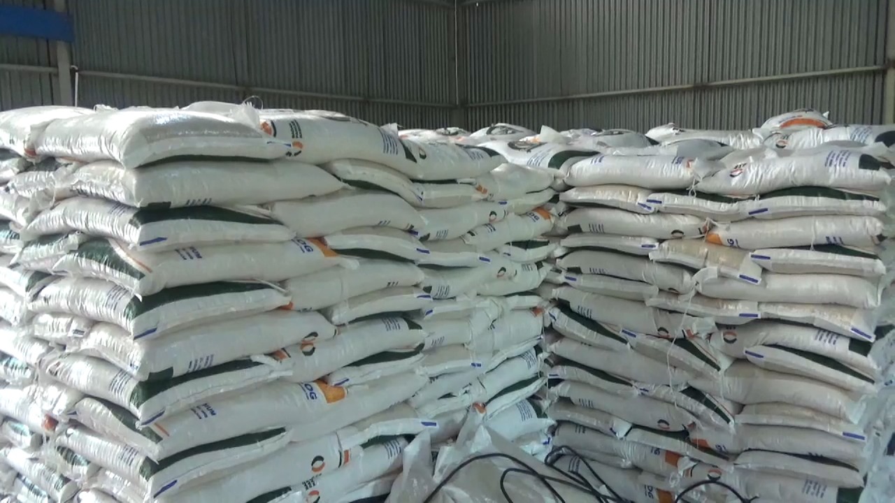 Siap-siap! Pemkab Bengkulu Utara Segera Guyur Bantuan Pangan Beras 20 Kg dan Minyak Goreng 4 Liter