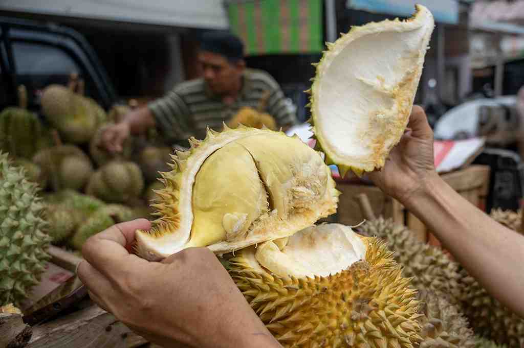 Hanya di Bengkulu Pembeli Durian Pasti Tidak akan Kecewa, Ini Rahasianya