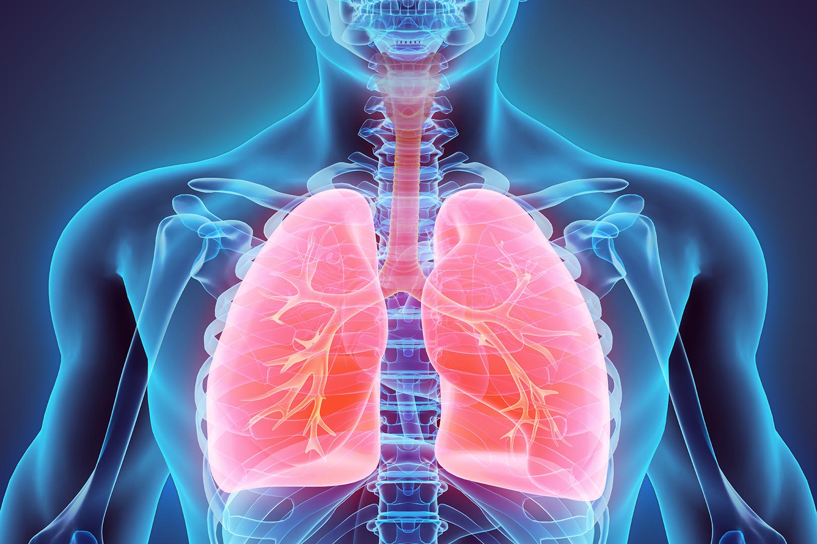 Jangan Dianggap Remeh, 7 Penyakit Ini Dapat Menyerang Paru-paru, Perhatikan Sebelum Menyesal