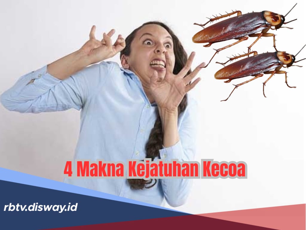 Hati-hati! Kejatuhan Kecoa Bukan hanya Kedatangan Rezeki, Ternyata Ada 4 Sinyal Buruk