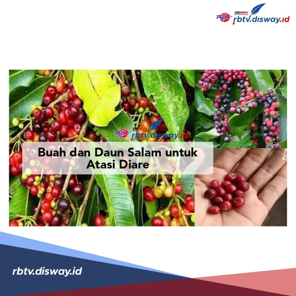 Punya Sejuta Manfaat, Berikut Resep Ramuan Ampuh Obat Diare dari Buah dan Daun Salam 