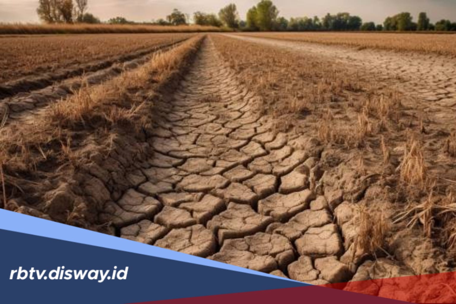 Kekeringan Mengintai RI, Ini Daftar Wilayah Berstatus 'Awas'