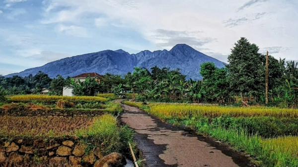 Cek di Sini Rincian Dana Desa 2025 di Provinsi Banten, Lengkap Seluruh Desa (Bagian 1)