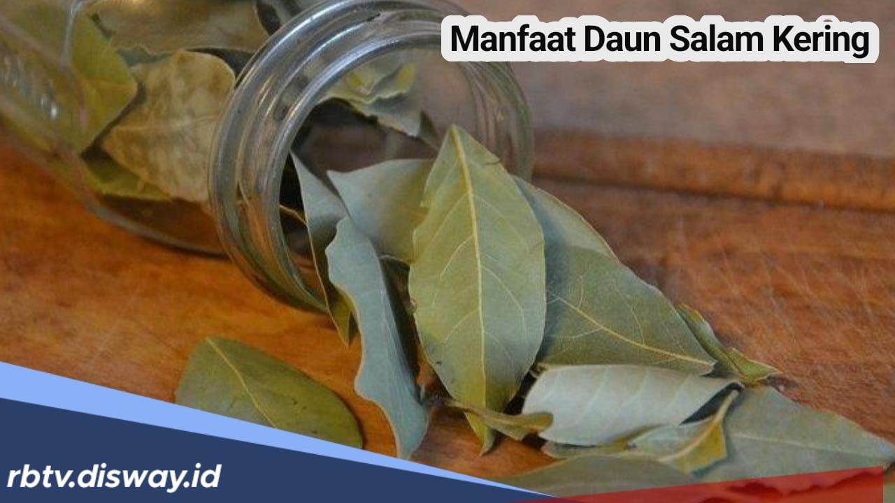 Manfaat Daun Salam Kering Sembuhkan Asam Urat? Begini Cara Mengolahnya