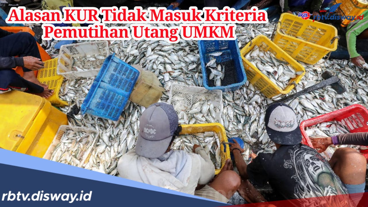 Ini Alasan Kenapa KUR Tak Masuk Kriteria Pemutihan Utang UMKM