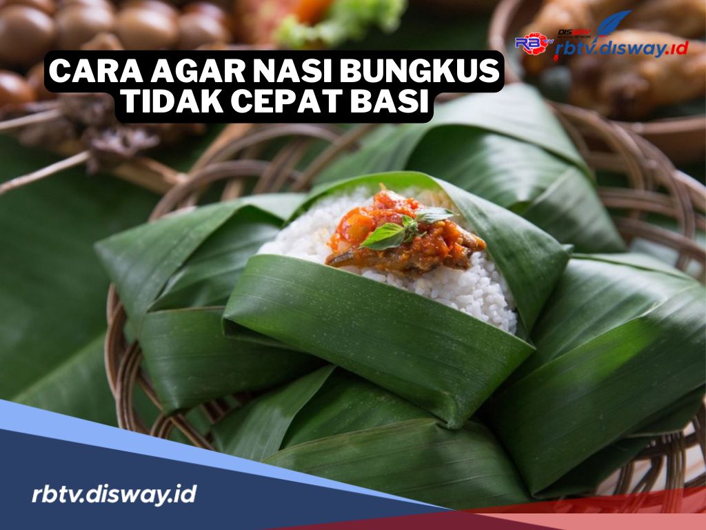 Tak Perlu Khawatir Lagi, Ini 5 Cara agar Nasi Bungkus yang Dibawa Tidak Cepat Basi saat Berangkat Jauh