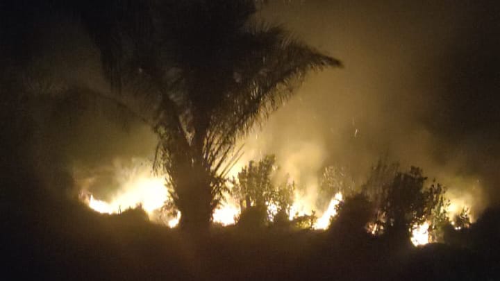 Komplek Rumah Dinas Bupati Seluma dan Satu Hektar Lahan Gambut di Sukaraja Terbakar