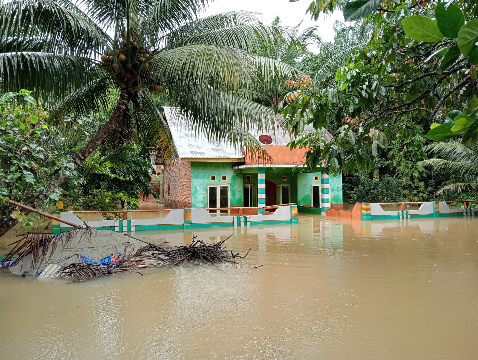 Banjir di Seluma, BPBD Sebut 3 Desa di 2 Kecamatan Terendam Banjir Akibat Luapan Sungai Sindur