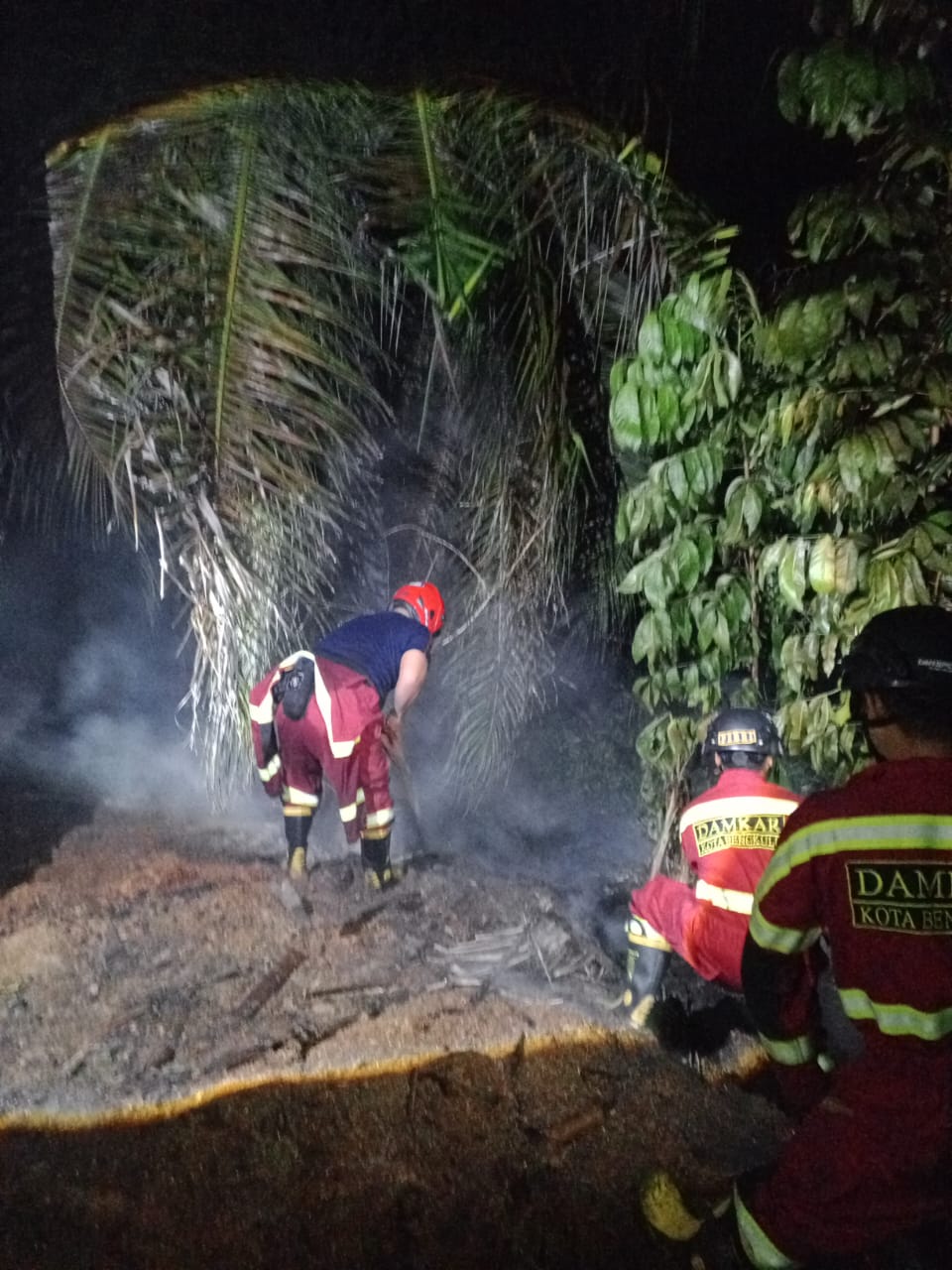 Kebakaran Lahan Kebun Sawit Akibat Pembakaran Serbuk Kayu dari Depot 