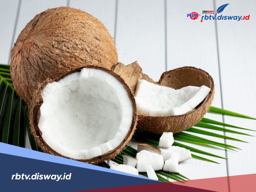 Jangan Kaget, Ini Harga Kelapa Terbaru Hari Ini