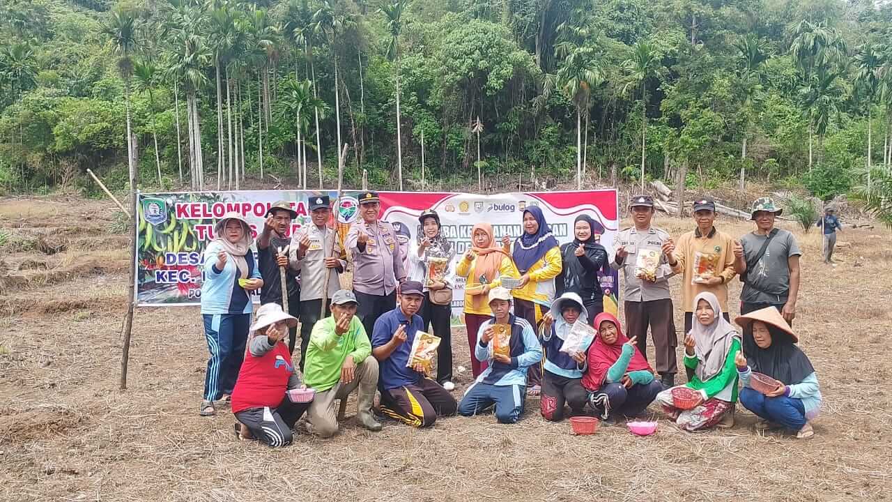 Warga di Desa Air Palawan Kabupaten Kaur Tanam Perdana Jagung Bhayangkara