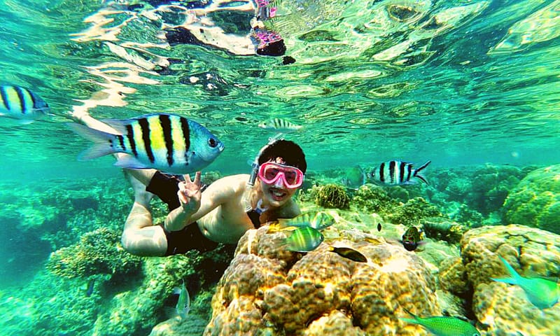 10 of the Best Scuba Diving Spots in Indonesia