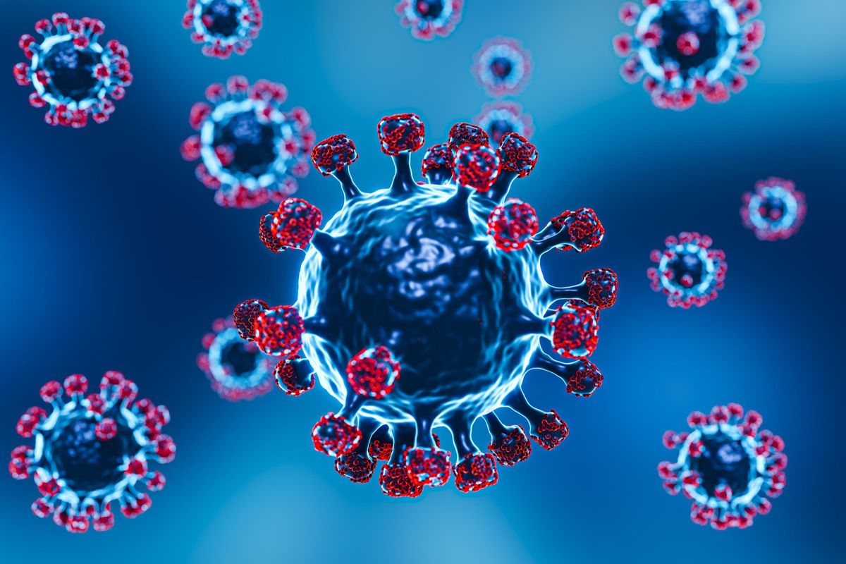 Waspada! Kenali Gejala Virus Nipah yang Menyebar di India 