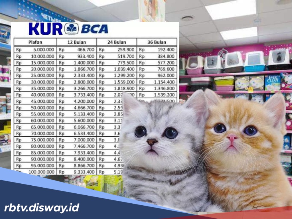 Usaha Petshop Sukses Tambah Stok Pakan hingga Kandang dengan KUR BCA 2025, Pinjam Rp 40 Juta Proses Mudah