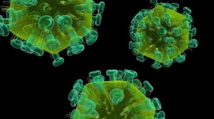 Virus Nipah Mematikan dan Mengancam Asia, Berikut Cara Mencegah Penularannya