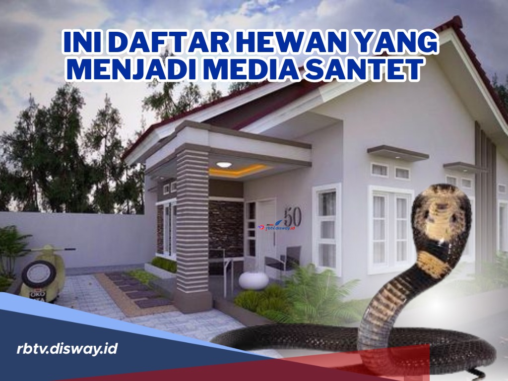 Hati-hati, Ini Hewan yang Menjadi Media Santet, Baca Doa Ini untuk Penangkalnya