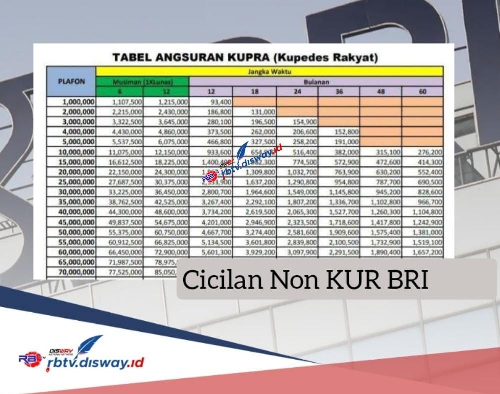 Cicilan Pinjaman Rp 50 Juta di BRI Non KUR hanya Rp 1 Jutaan, Ini Syarat dan Cara Pengajuannya