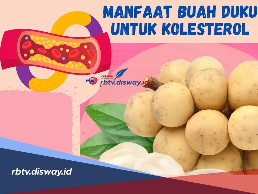 Ini Manfaat Buah Duku untuk Penderita Kolesterol! Cek Juga 9 Gejala Penderita Kolesterol di Sini