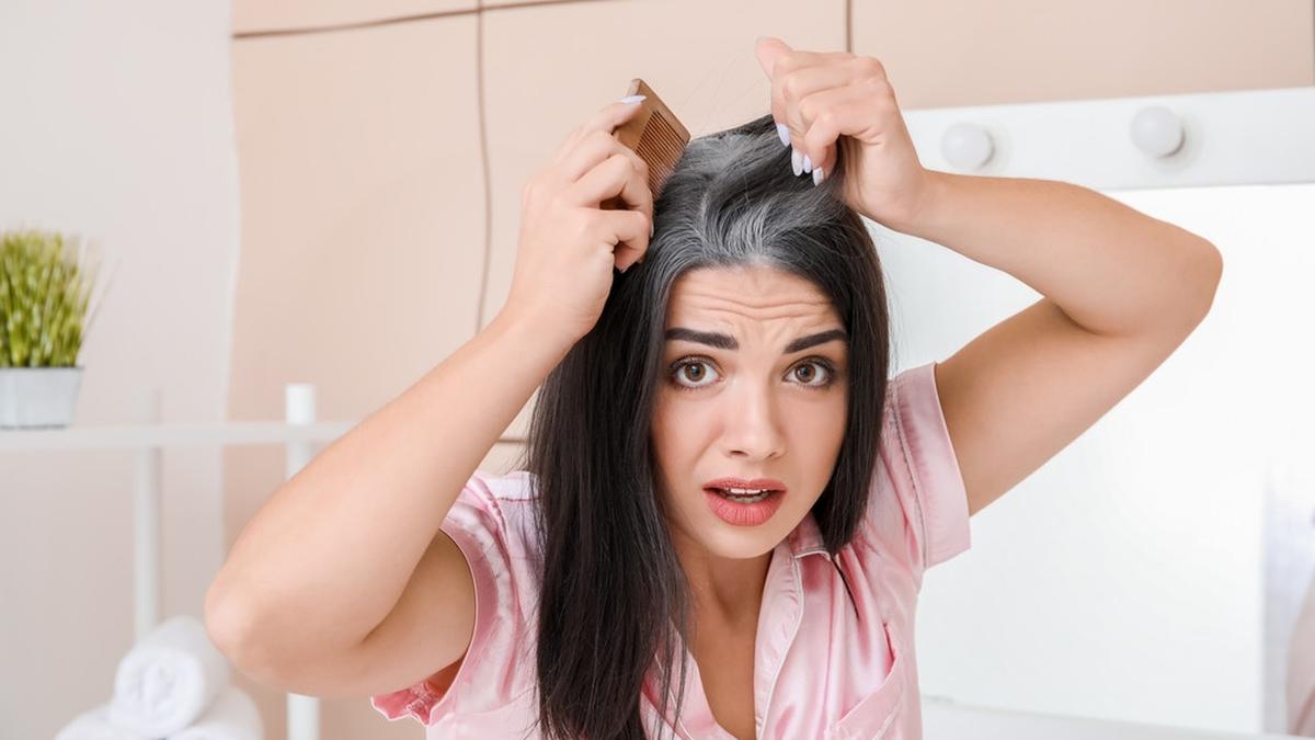 Kepala Sudah Memutih karena Uban, Ini 6 Tanaman Obat Keluarga Bisa Menghilangkan Uban