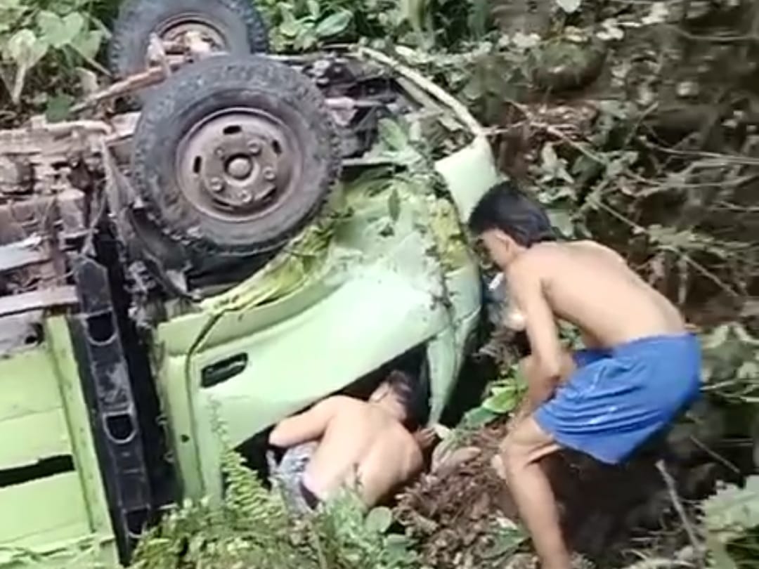 Truk Sawit Gagal Menanjak Terjun ke Jurang, Apakah Ada Korban? 