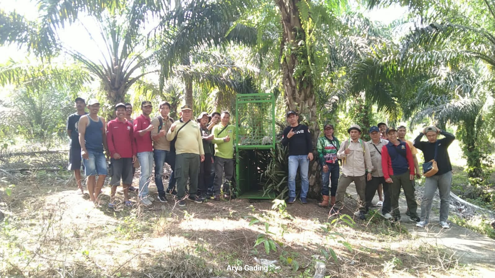 Hewan Buas Berkeliaran di Perkebunan Warga Seluma, BKSDA dan WCS Pasang Perangkap dan Kamera