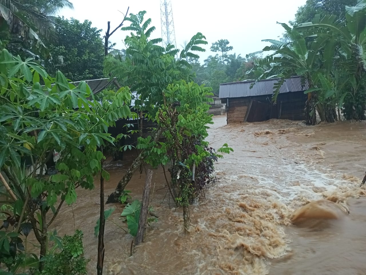 Sungai Serangai Meluap Akibat Hujan Deras, 11 Rumah di Bengkulu Utara Terendam