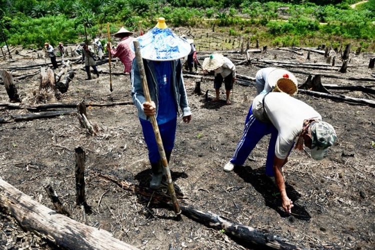 Nugal Padi, Betapa Enaknya Bubur Kacang Hijau Itu, Kenangan Bagi yang Lahir Tahun 70-80 saja
