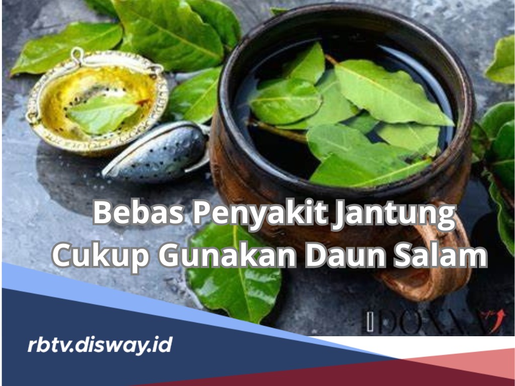 Efektif dan Aman Obati Penyakit Jantung, Begini Cara Mengolah Daun Salam agar Dapat Khasiatnya