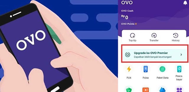 Cara Aktivasi OVO PayLater, Pembiayaan Belanja Online Sampai Rp 10 Juta Bisa Dicicil 12 Bulan
