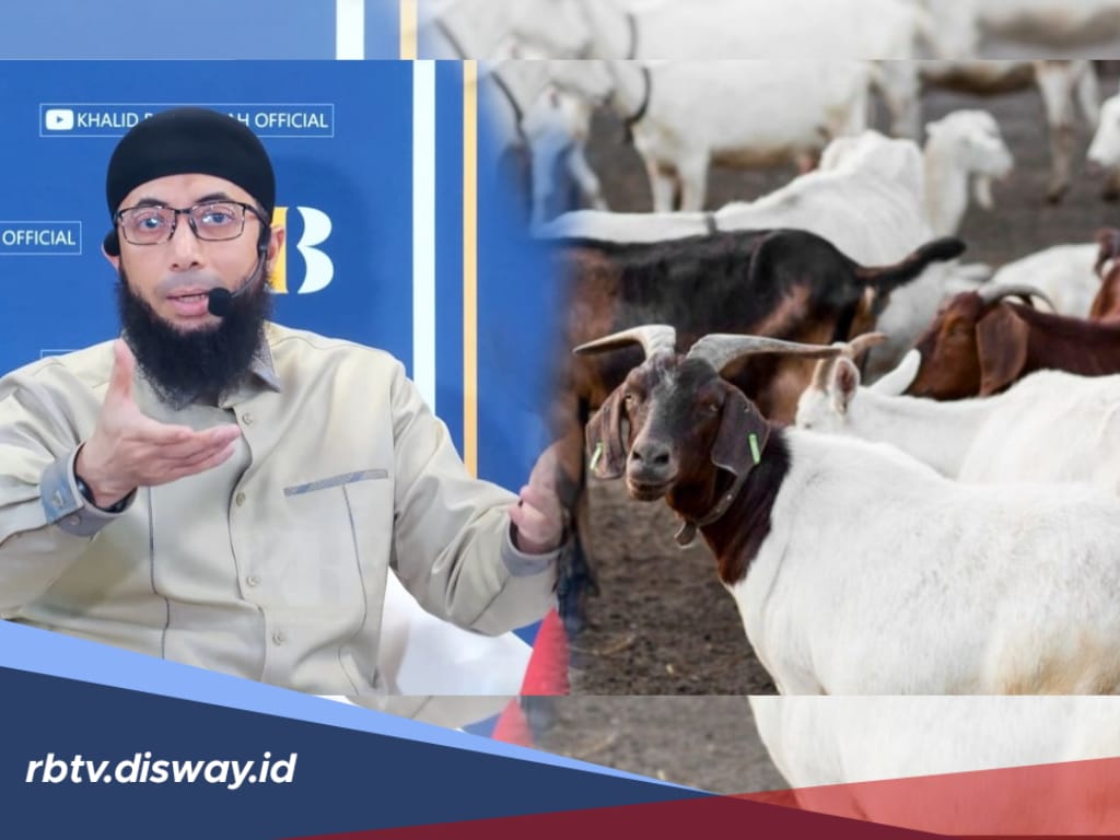 Kurban Kambing untuk Berapa Orang Menurut Ustadz Khalid Basalamah dan Syarat Hewan Kurban
