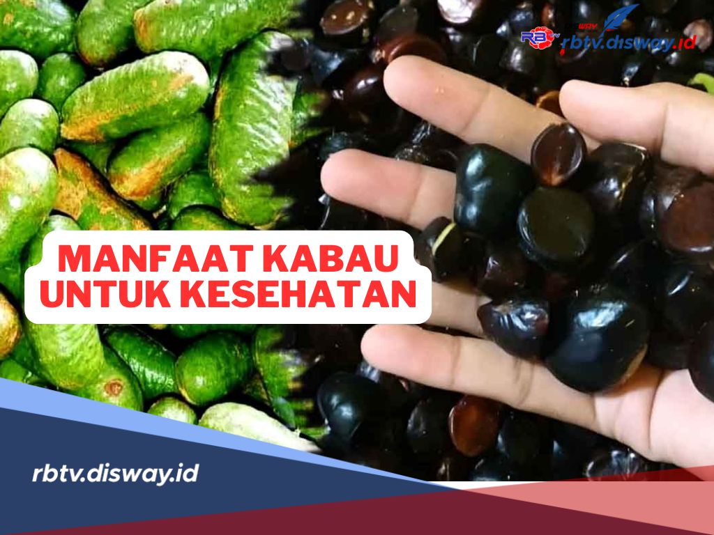 Ini Manfaat Kabau untuk Kesehatan yang Tak Disangka-sangka, Apa Saja? 