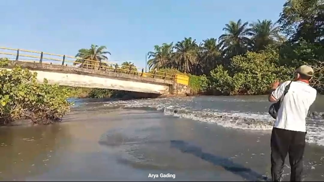 Abrasi Laut Semakin Mengganas, Jalan Provinsi di Ilir Talo Terancam Kembali Putus