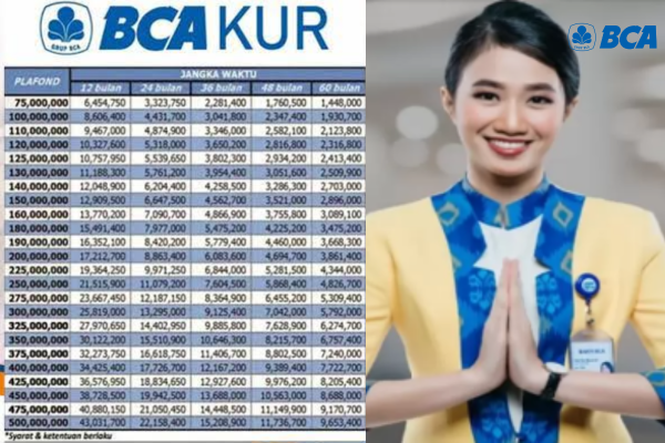 Tidak Semua Orang Bisa Ajukan Pinjaman KUR BCA Rp 50 Juta, Cermati Syarat dan Caranya Berikut