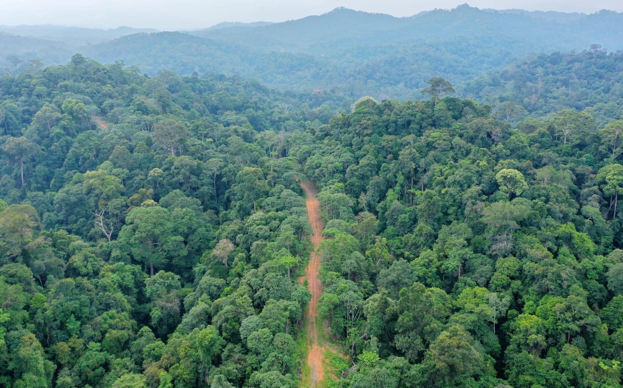 Terobosan Baru Pemprov Bengkulu, Disiapkan Lahan 1-2 Hektare untuk 1 Keluarga