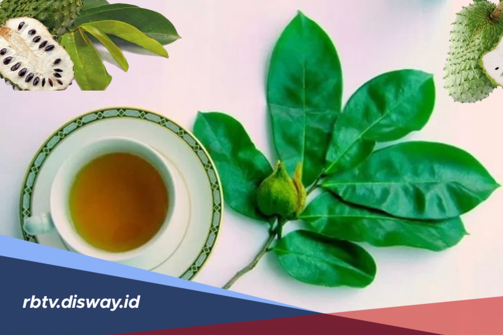 Manfaat Daun Sirsak untuk Kesehatan dan Cara Mengolahnya