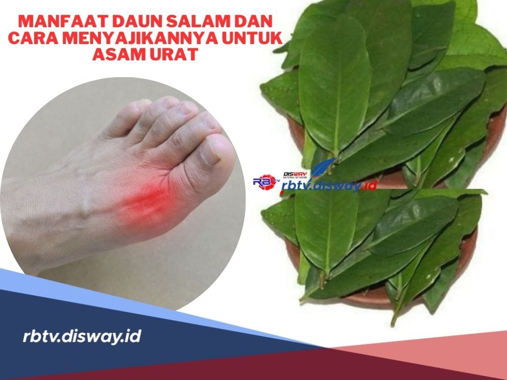  Manfaat Daun Salam Segar dan Cara Penyajiannya untuk  Obat Asam Urat