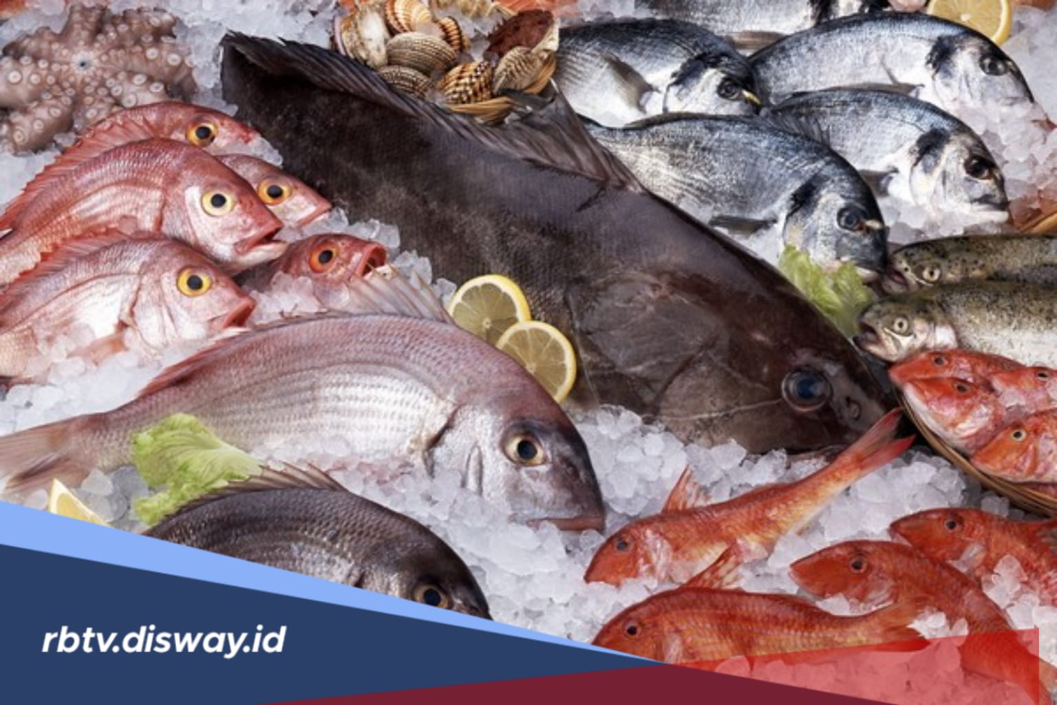 5 Jenis Ikan yang Tidak Boleh Dikonsumsi Penderita Asam Urat