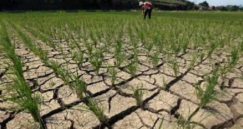 Cuaca Panas Belum Berakhir, Menyusul Ancaman El Nino