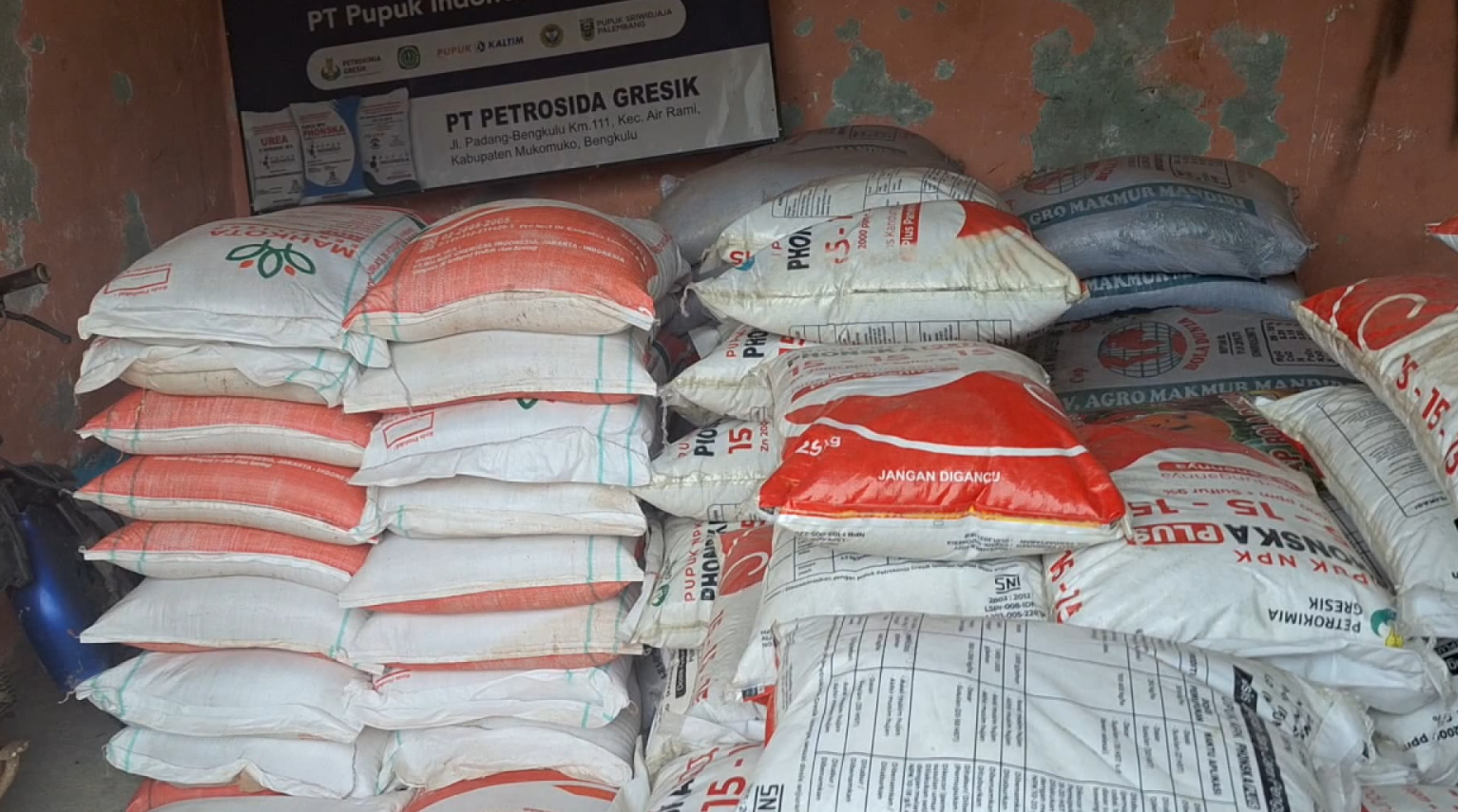 Harga Turun, Stok Pupuk Subsidi di Mukomuko Aman?